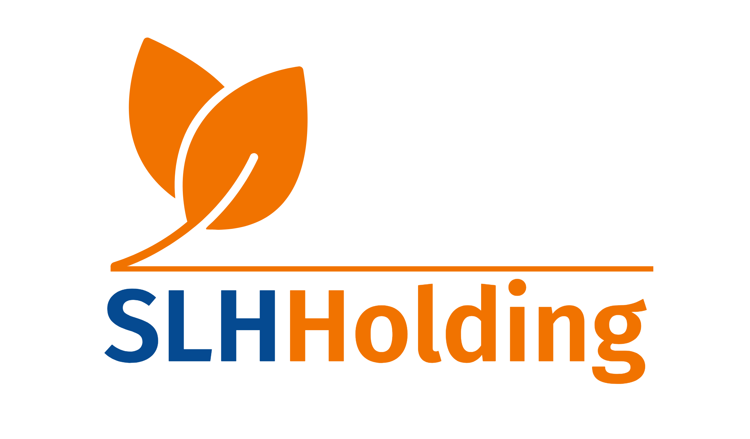 Logo SLH